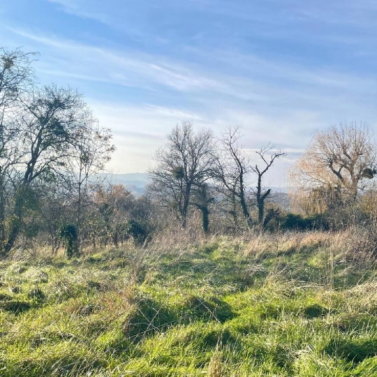 Plan A Immobilier : Terrain | CHARNAY-LES-MACON (71850) | 0.00m2 | 250 000 € Plan A Immobilier : Terrain | CHARNAY-LES-MACON (71850) | 0.00m2 | 250 000 €